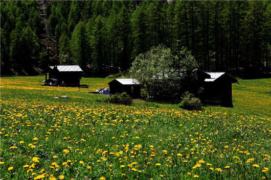 德國度假天堂尤伊斯特與施瓦本汝拉山風光