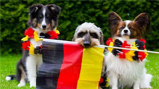 投資移民德國(guó)開(kāi)銷大不大?移民德國(guó)申請(qǐng)要求怎么樣? 投資移民德國(guó)開(kāi)銷大不大?移民德國(guó)申請(qǐng)要求怎么樣?