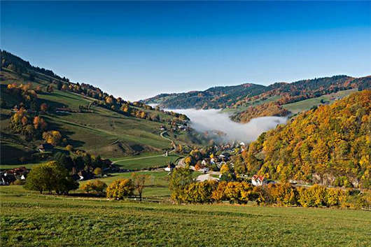 德國綠色經濟 德國綠色經濟