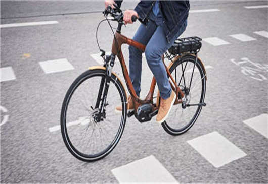 德國(guó)電動(dòng)汽車支持計(jì)劃延長(zhǎng)