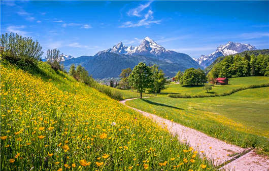 德國,為您的生活帶來的那些意想不到的變化! 德國,為您的生活帶來的那些意想不到的變化!