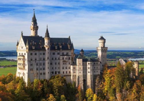 1624523209660882.jpg 1.jpg